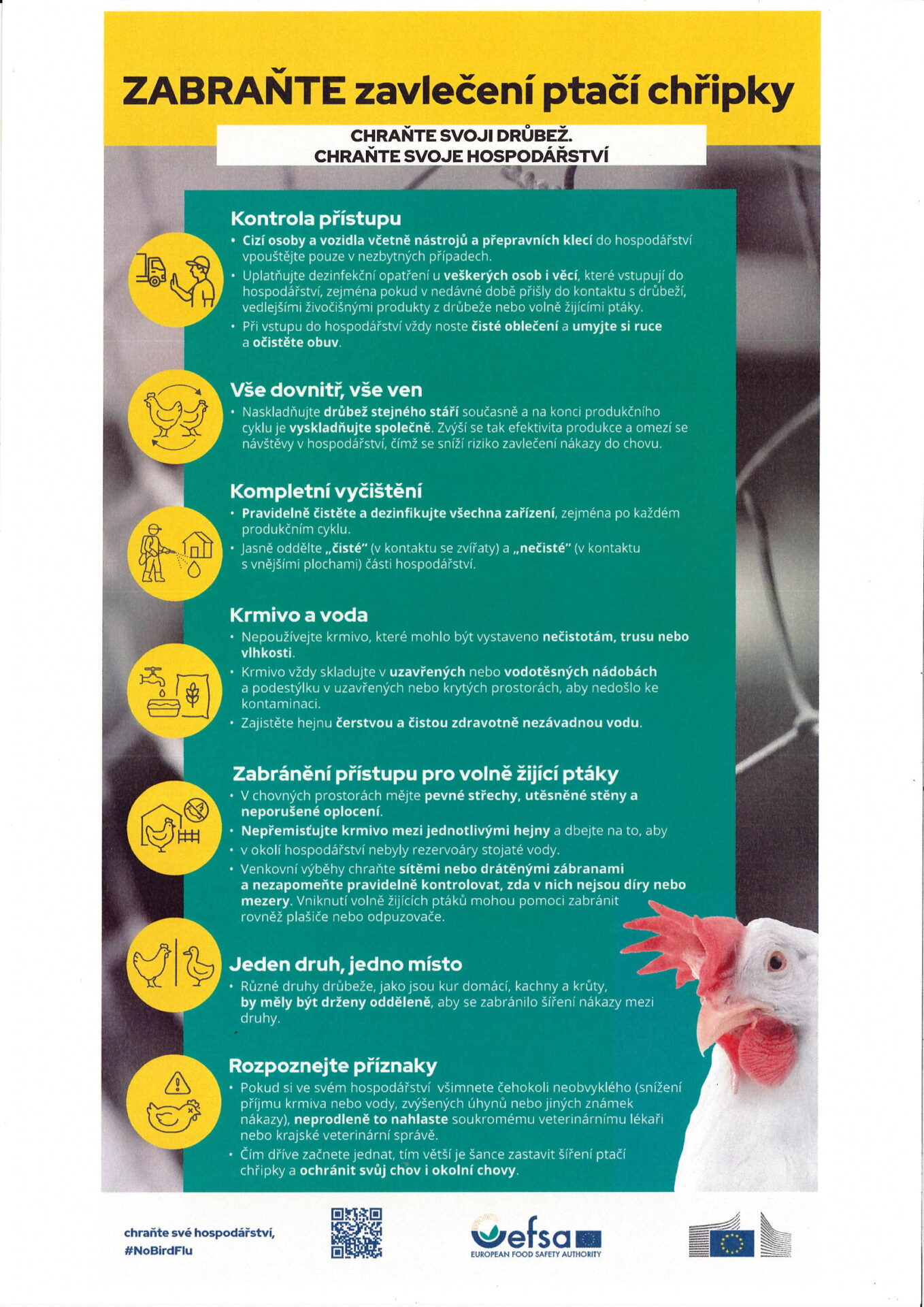 Image300326145553 000