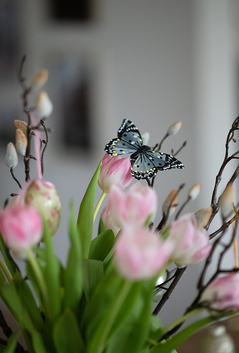 A butterfly rests on a pink tulip blossom.