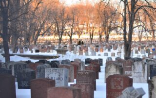 cemetery with trees under white sky