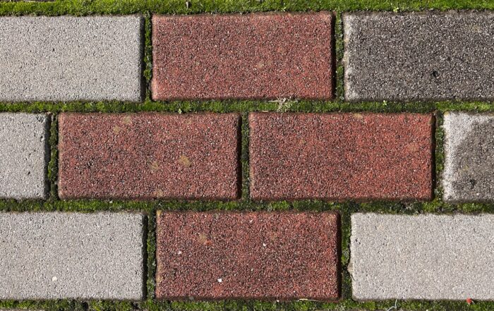 a close up of a brick sidewalk with grass growing on it