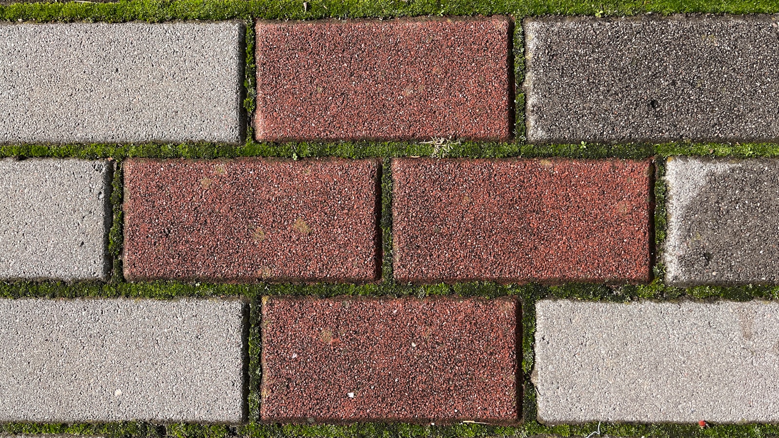 a close up of a brick sidewalk with grass growing on it
